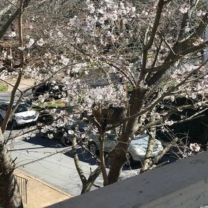 Meet your Posher, Cates